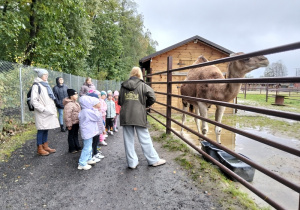 Dzieci zwiedzają zoo