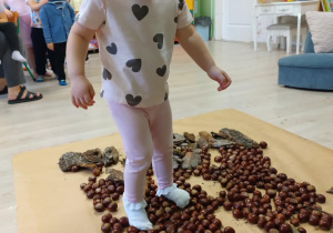 Ścieżka sensoryczna