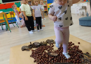 Ścieżka sensoryczna