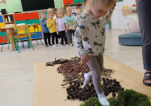 Ścieżka sensoryczna