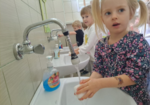 Zdjęcie 25 na 28