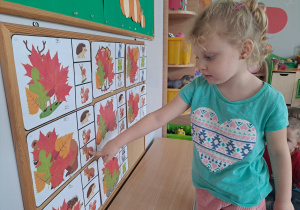 Zdjęcie 8 na 17
