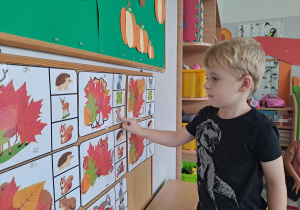 Zdjęcie 12 na 17