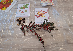 Zdjęcie 8 na 19