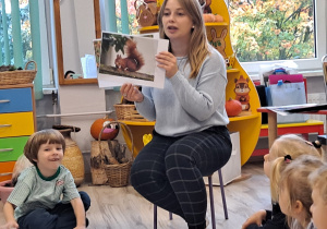 Zdjęcie 4 na 30