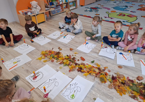 Zdjęcie 8 na 30