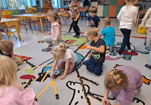 Zdjęcie 14 na 22