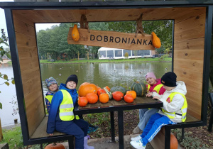 Zdjęcie 2 na 40