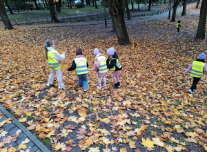 Park w jesiennej szacie