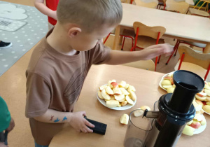Zdjęcie 8 na 24