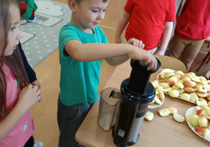Zdjęcie 10 na 24
