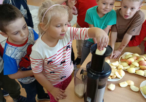 Zdjęcie 21 na 24