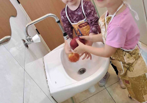 Zdjęcie 5 na 17