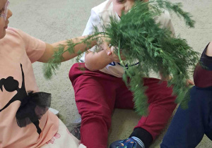 Zdjęcie 14 na 16