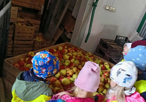 Zdjęcie 8 na 22