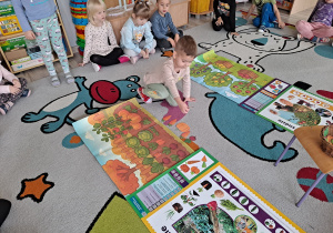 dziecko segreguje obrazek