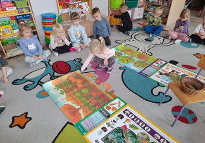 dziecko segreguje obrazek