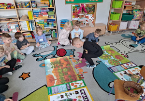 dziecko segreguje obrazek