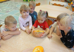 Dzieci poznają dynie od środka