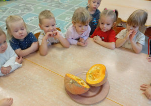 Dzieci poznają dynie od środka