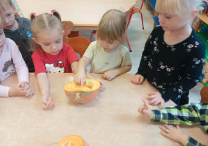 Dzieci poznają dynie od środka