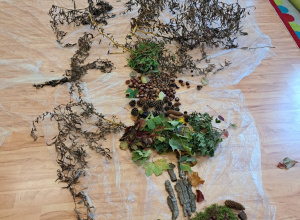 Drzewo, którego nie możesz objąć ramionami, było kiedyś małym nasionkiem