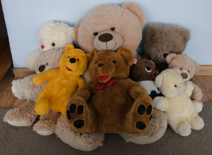 Dzień pluszowego misia