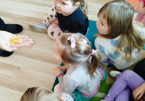 Dzieci oglądają ziarenka kukurydzy