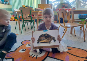 Dziewczynka trzyma grafikę żółwia