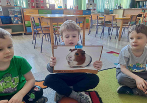 Chłopiec trzyma grafikę chomika