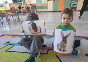 Chłioec trzyma grafikę królika, obok chłioec trzyma grafikę chomika