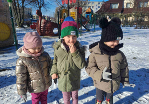 Trzy dziewczynki w zimowej scenerii