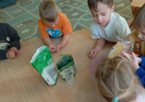 Robienie masy solnej na kości dinozaurów