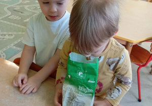 Robienie masy solnej na kości dinozaurów