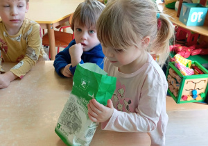 Robienie masy solnej na kości dinozaurów