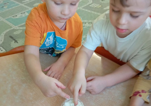 Robienie masy solnej na kości dinozaurów