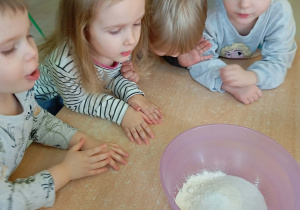 Robienie masy solnej na kości dinozaurów