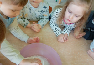 Robienie masy solnej na kości dinozaurów