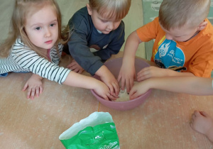 Robienie masy solnej na kości dinozaurów