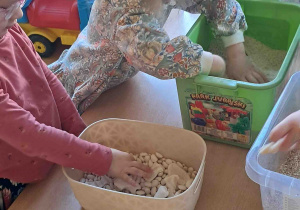Dzieci wyszukują kości dinozaurów w kaszy, ryżu