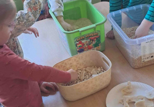 Dzieci wyszukują kości dinozaurów w kaszy, ryżu