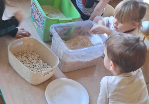 Dzieci wyszukują kości dinozaurów w kaszy, ryżu