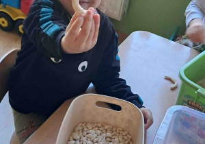 Dzieci wyszukują kości dinozaurów w kaszy, ryżu