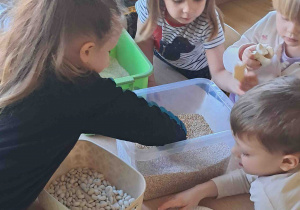 Dzieci wyszukują kości dinozaurów w kaszy, ryżu