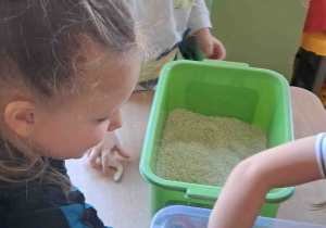 Dzieci wyszukują kości dinozaurów w kaszy, ryżu