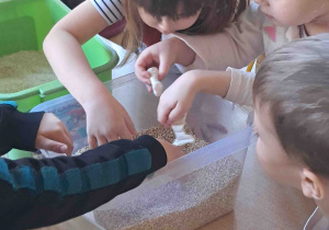 Dzieci wyszukują kości dinozaurów w kaszy, ryżu