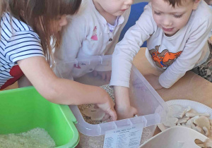 Dzieci wyszukują kości dinozaurów w kaszy, ryżu