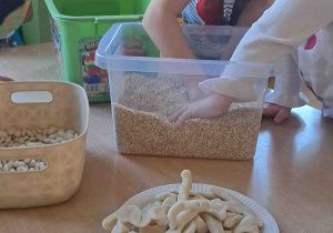 Dzieci wyszukują kości dinozaurów w kaszy, ryżu