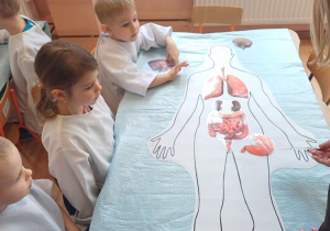 Dzieci układają model narządów wewnętrznych człowieka, poznając budowę ciała