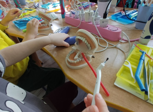 "Zębowa Przygoda"- warsztaty dentystyczne